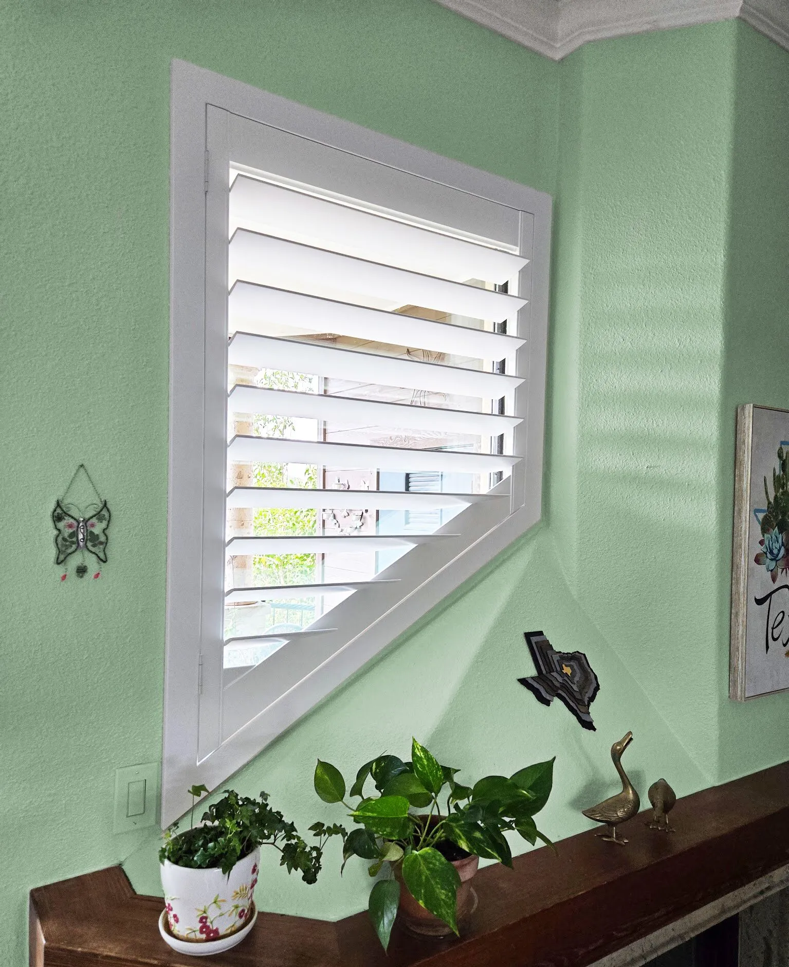 Elegant living room white interior shutters